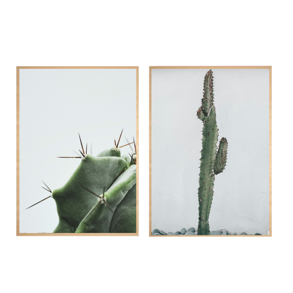 Conjunto Cuadros Canvas Suculenta-Cactus - Imagen 4