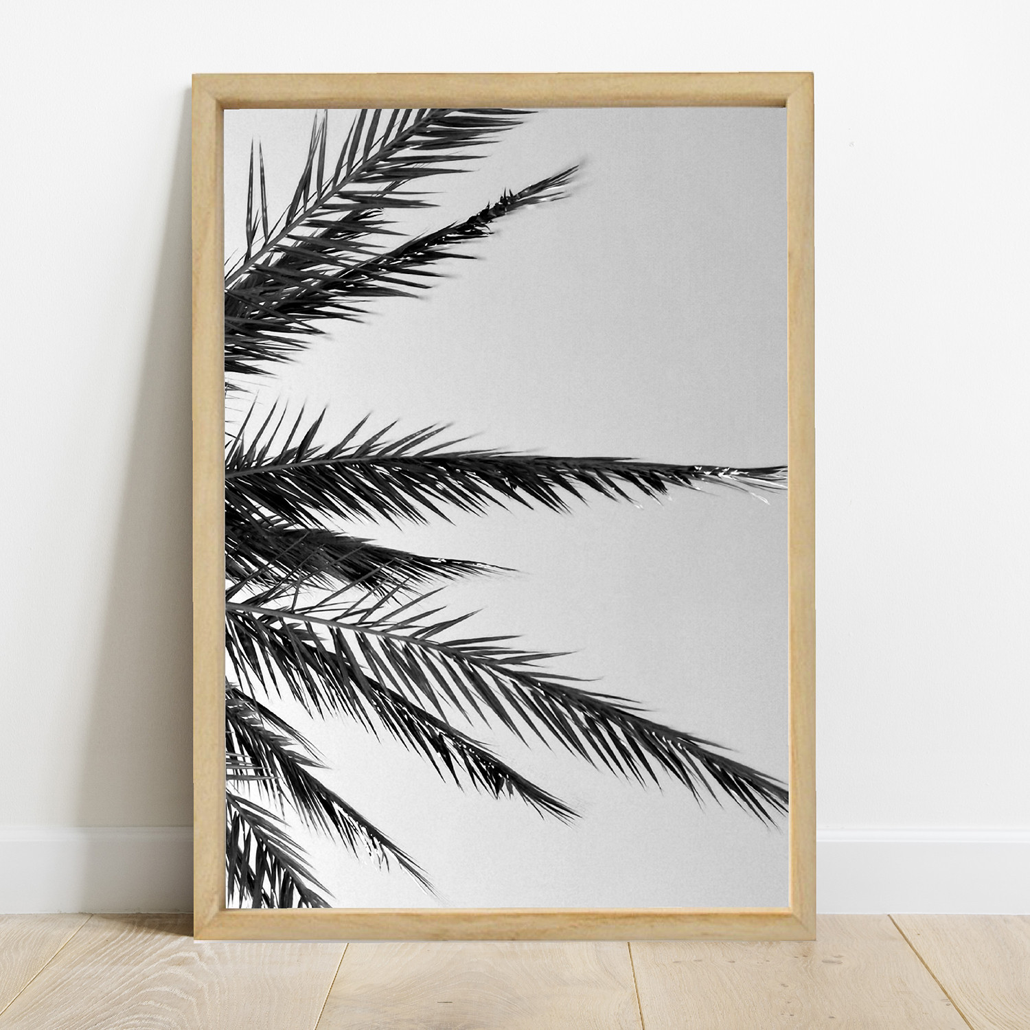 Cuadro Palmera B/N - Imagen 3