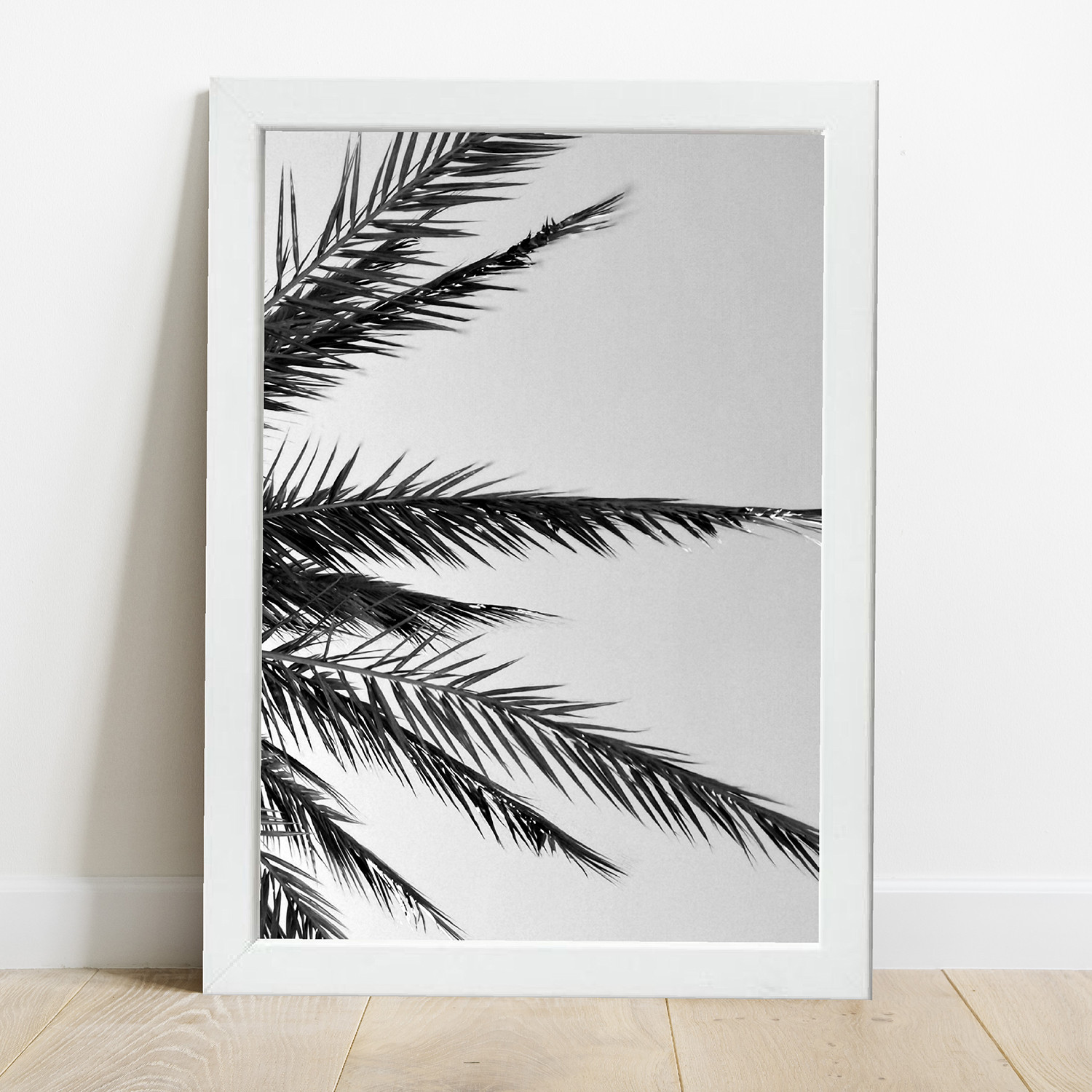 Cuadro Palmera B/N - Imagen 2